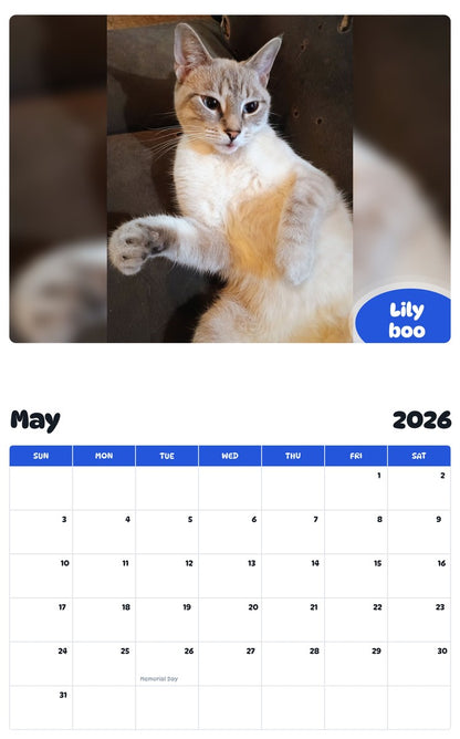 2026 - 2027 Lily boo - Pawidols Pet Calendar