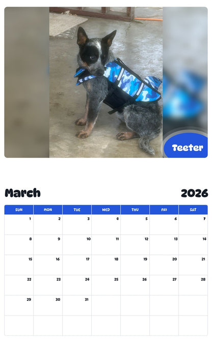 November 2025 - October 2026 Teeter - Pawidols Pet Calendar