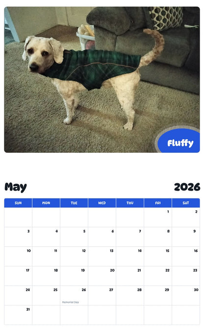 2026 - 2027 Fluffy - Pawidols Pet Calendar