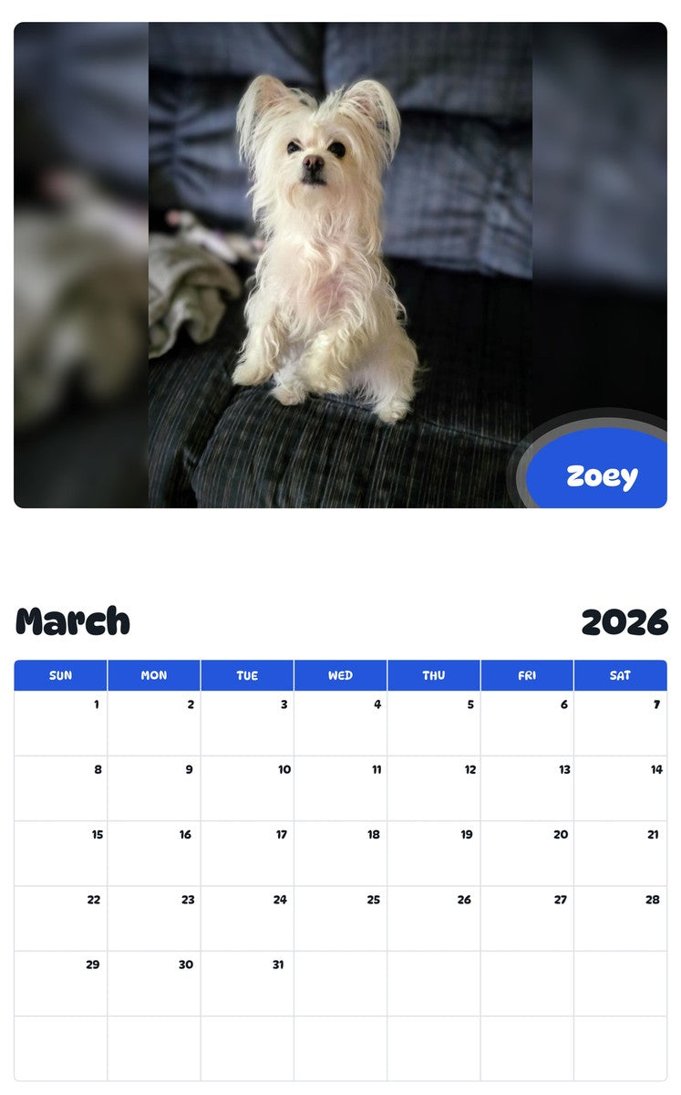 November 2025 - October 2026 Zoey - Pawidols Pet Calendar