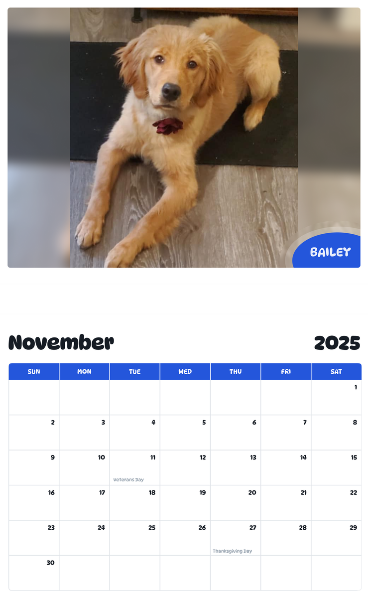 July 2025 - June 2026 Bailey - Pawidols Pet Calendar