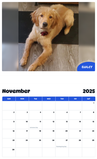 July 2025 - June 2026 Bailey - Pawidols Pet Calendar