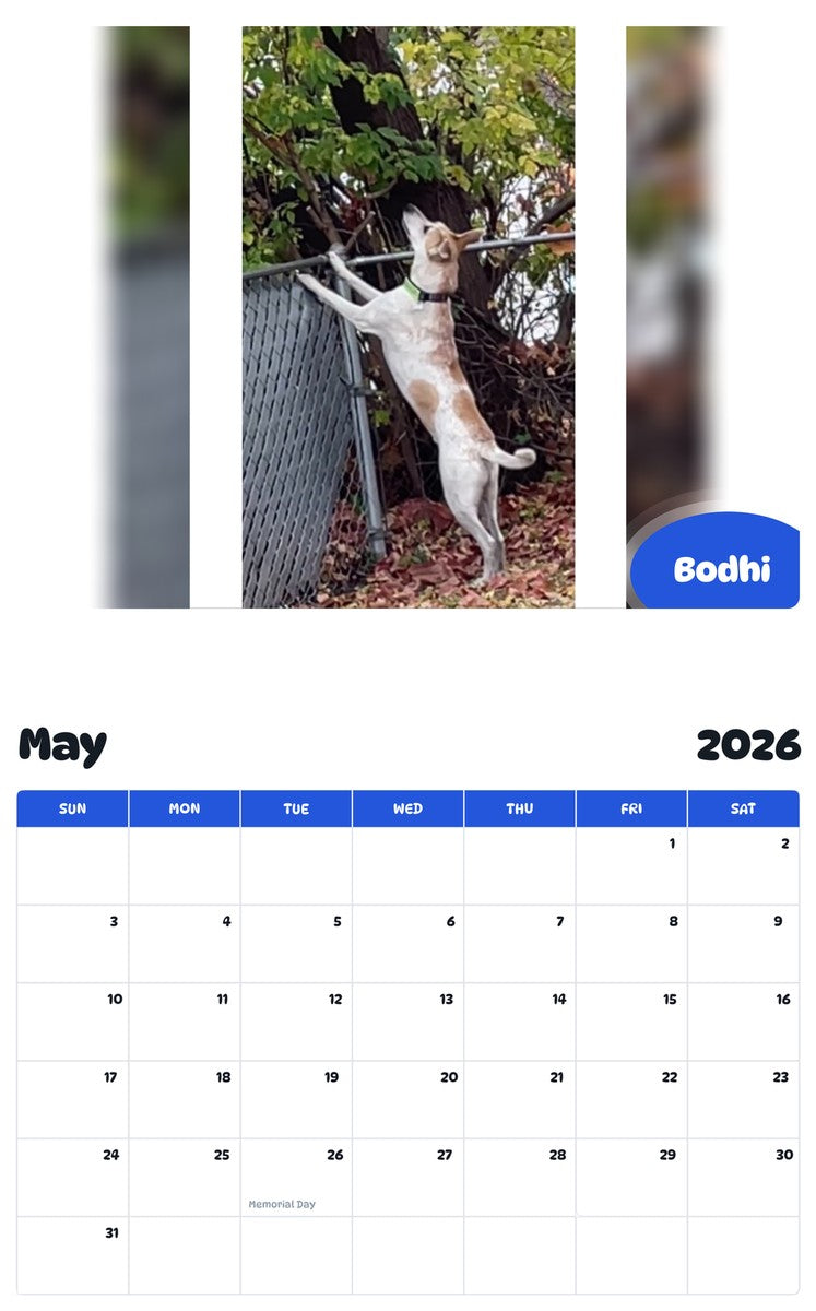 2026 - 2027 Bodhi - Pawidols Pet Calendar