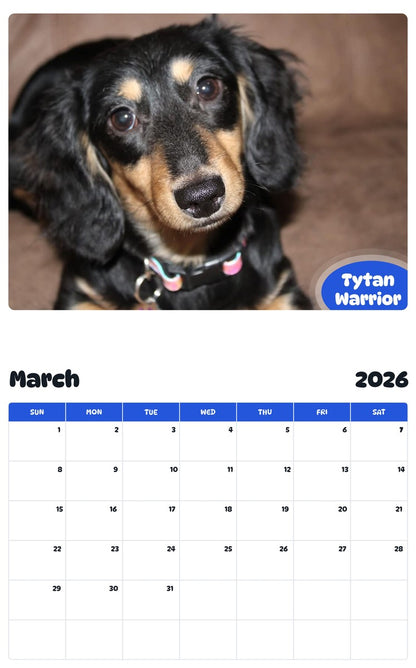 November 2025 - October 2026 Tytan Warrior - Pawidols Pet Calendar