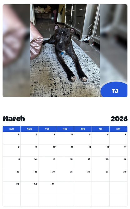 November 2025 - October 2026 TJ - Pawidols Pet Calendar
