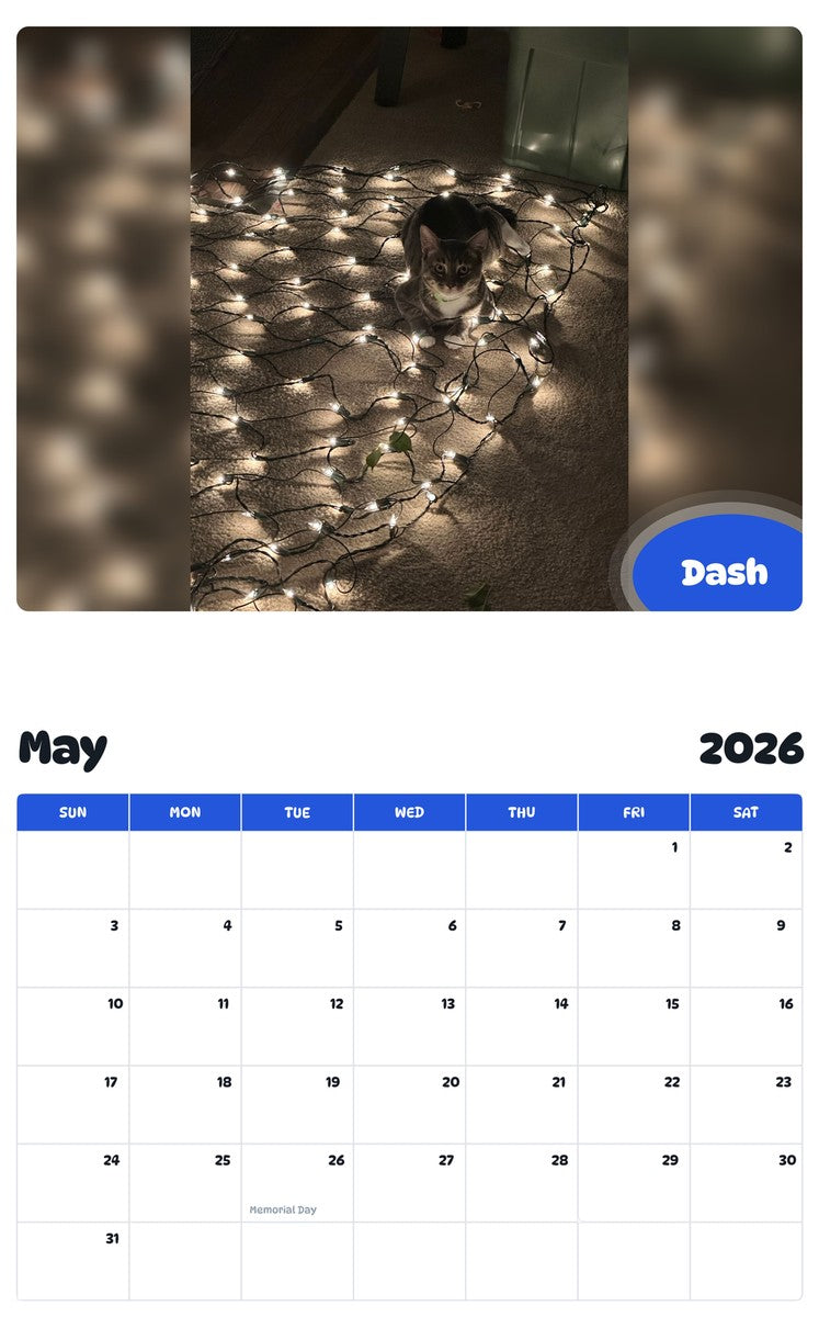 2026 - 2027 Dash - Pawidols Pet Calendar