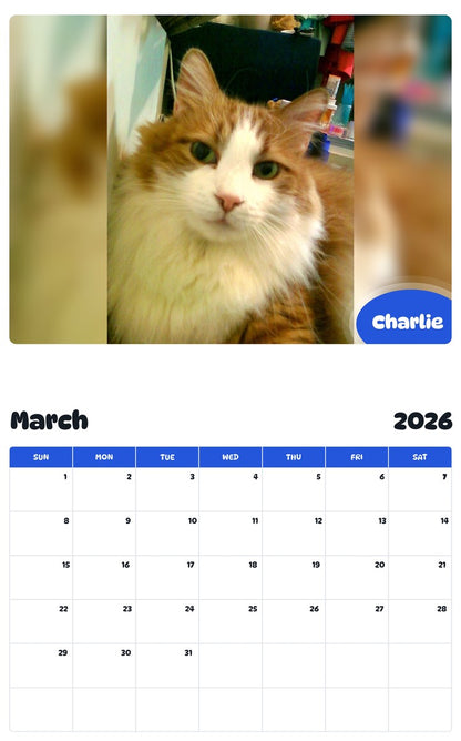 November 2025 - October 2026 Charlie - Pawidols Pet Calendar