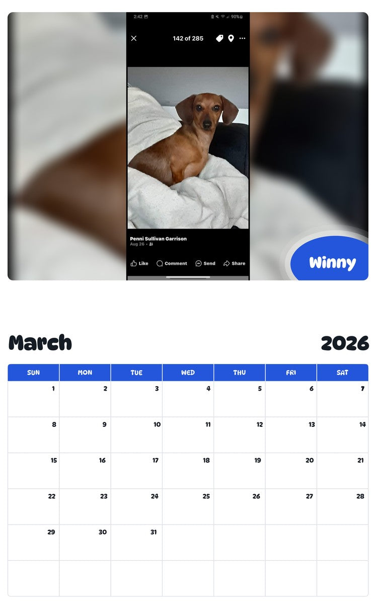 November 2025 - October 2026 Winny - Pawidols Pet Calendar