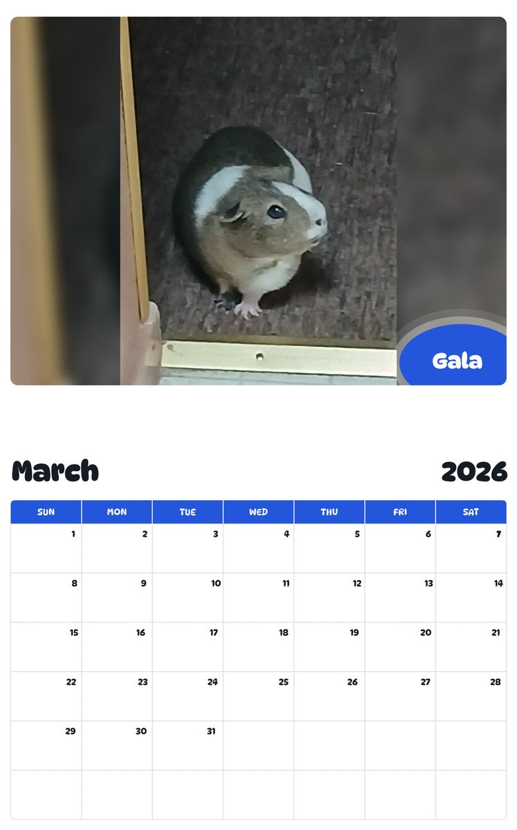 November 2025 - October 2026 Gala - Pawidols Pet Calendar