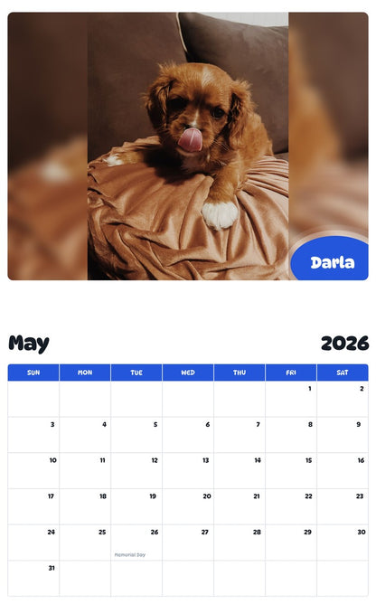 2026 - 2027 Darla - Pawidols Pet Calendar