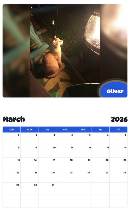 November 2025 - October 2026 Oliver - Pawidols Pet Calendar