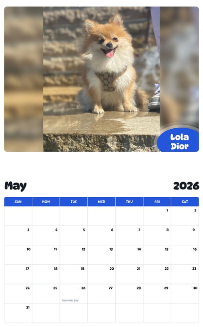 2026 - 2027 Lola Dior - Pawidols Pet Calendar