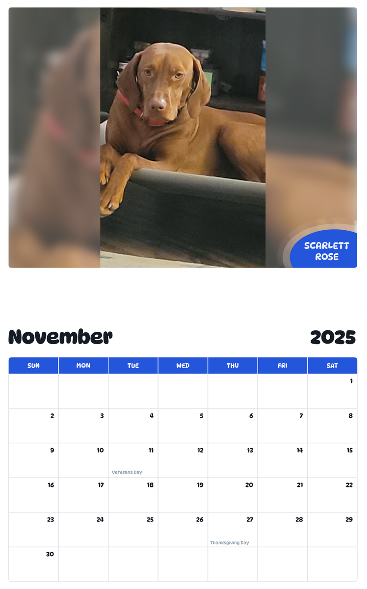 July 2025 - June 2026 Scarlett Rose - Pawidols Pet Calendar