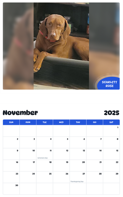July 2025 - June 2026 Scarlett Rose - Pawidols Pet Calendar