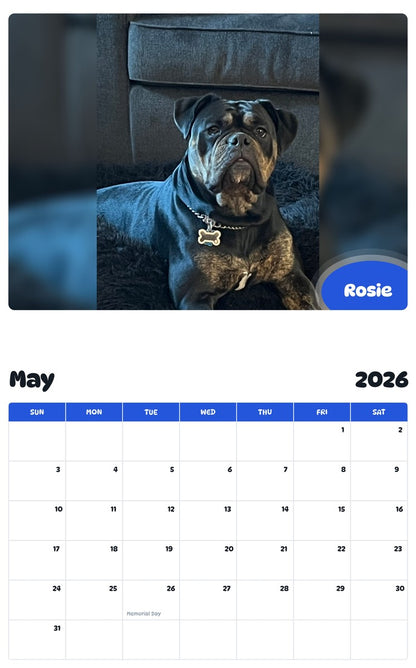 2026 - 2027 Rosie - Pawidols Pet Calendar