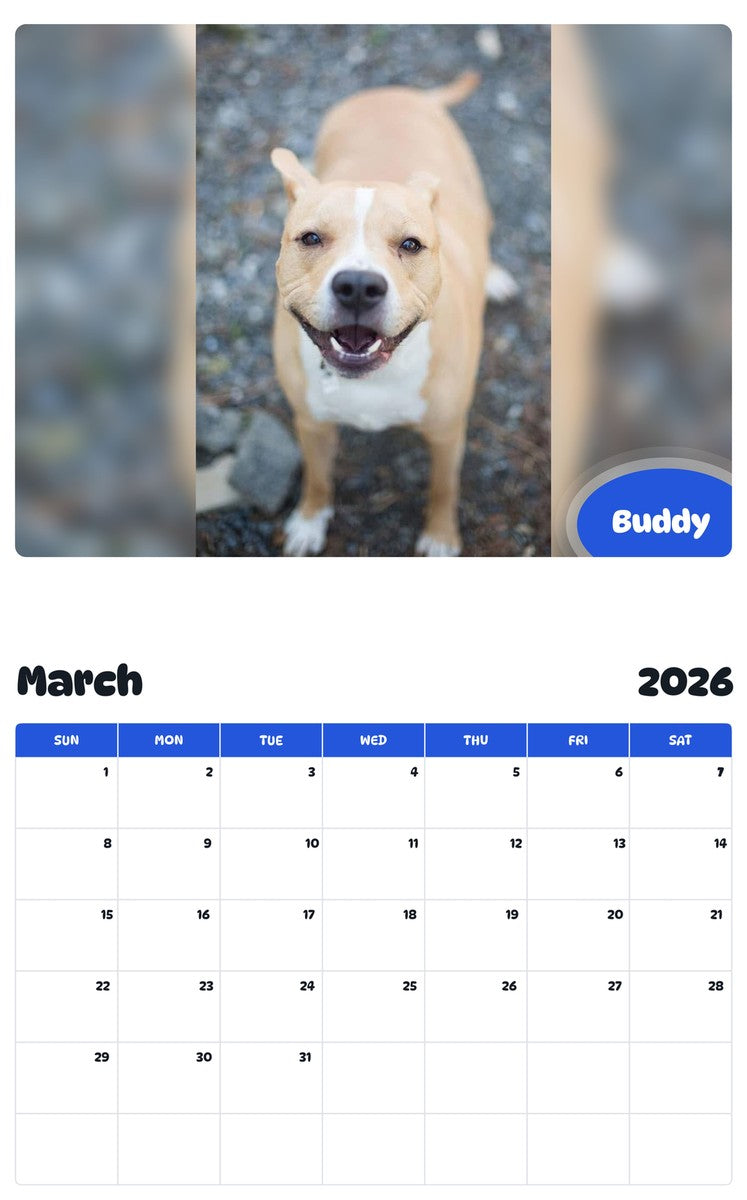 November 2025 - October 2026 Buddy - Pawidols Pet Calendar