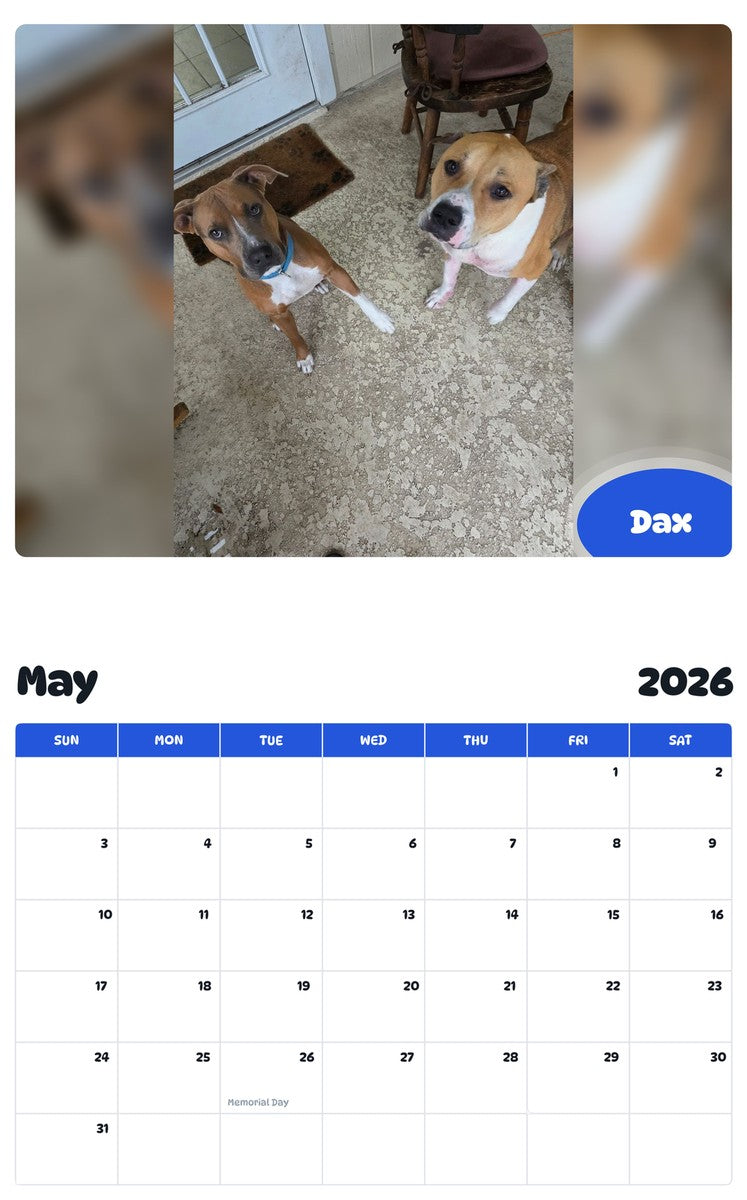 2026 - 2027 Dax - Pawidols Pet Calendar