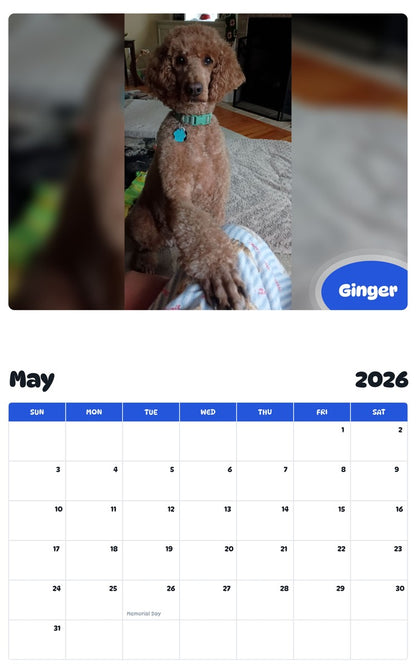 2026 - 2027 Ginger - Pawidols Pet Calendar