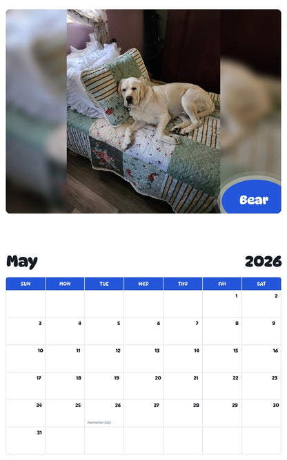 2026 - 2027 Bear - Pawidols Pet Calendar