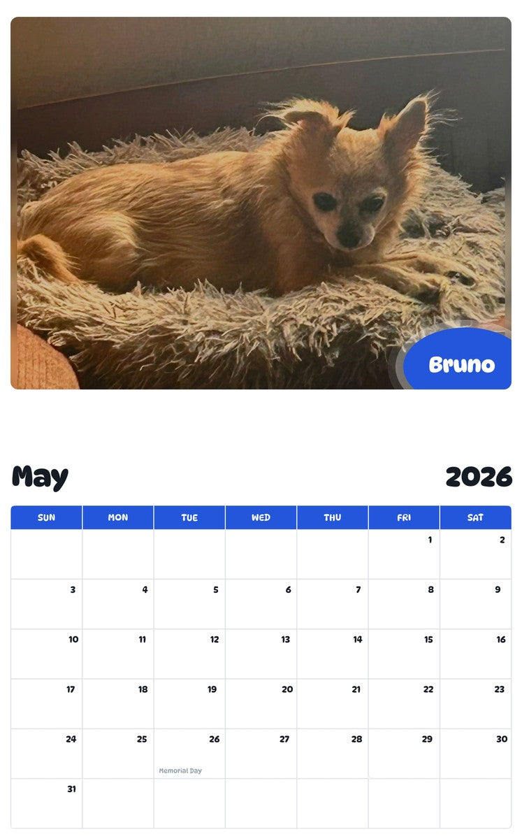2026 - 2027 Bruno - Pawidols Pet Calendar