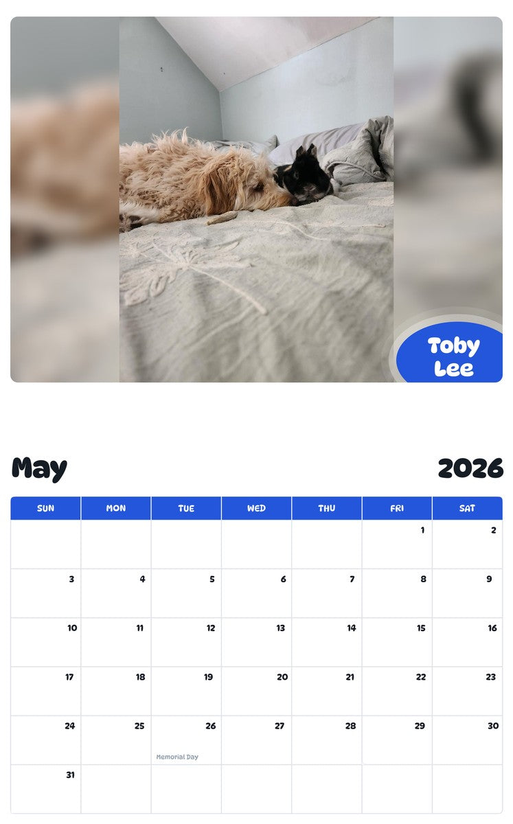 2026 - 2027 Toby Lee - Pawidols Pet Calendar