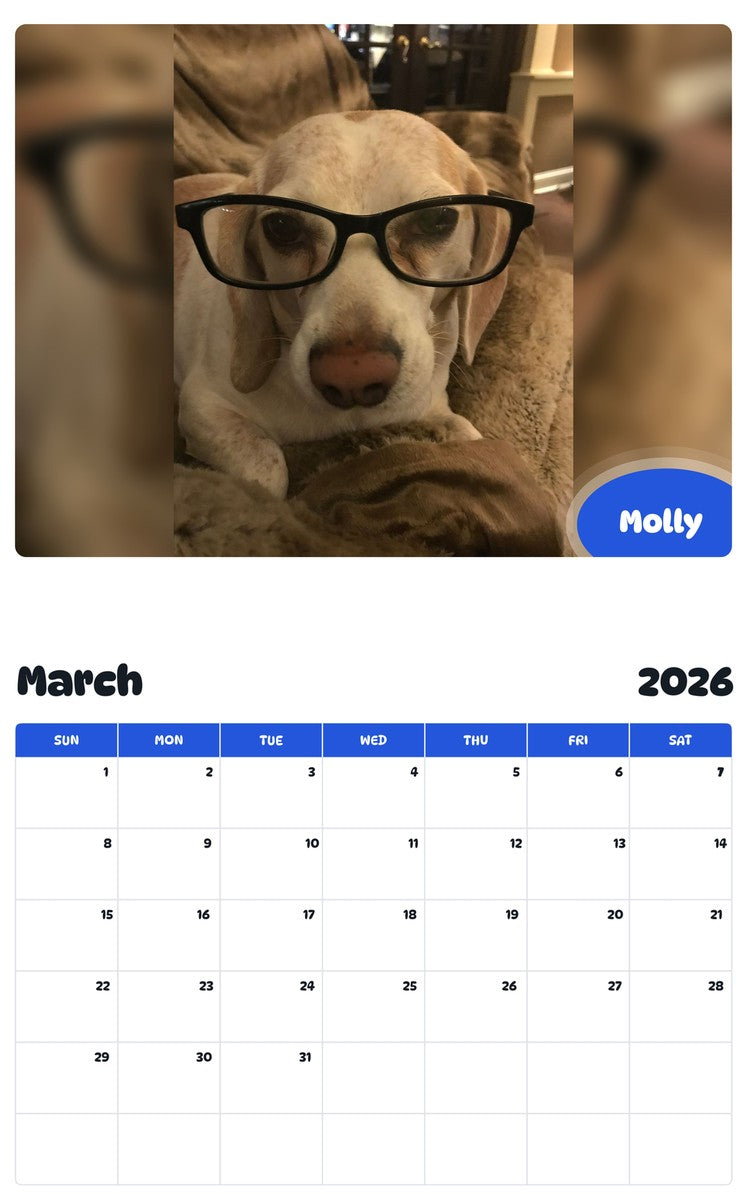 November 2025 - October 2026 Molly - Pawidols Pet Calendar