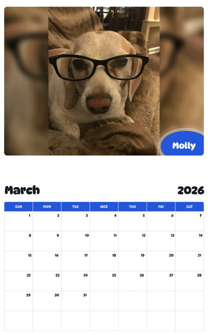 November 2025 - October 2026 Molly - Pawidols Pet Calendar