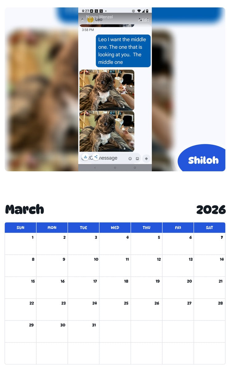 November 2025 - October 2026 Shiloh - Pawidols Pet Calendar
