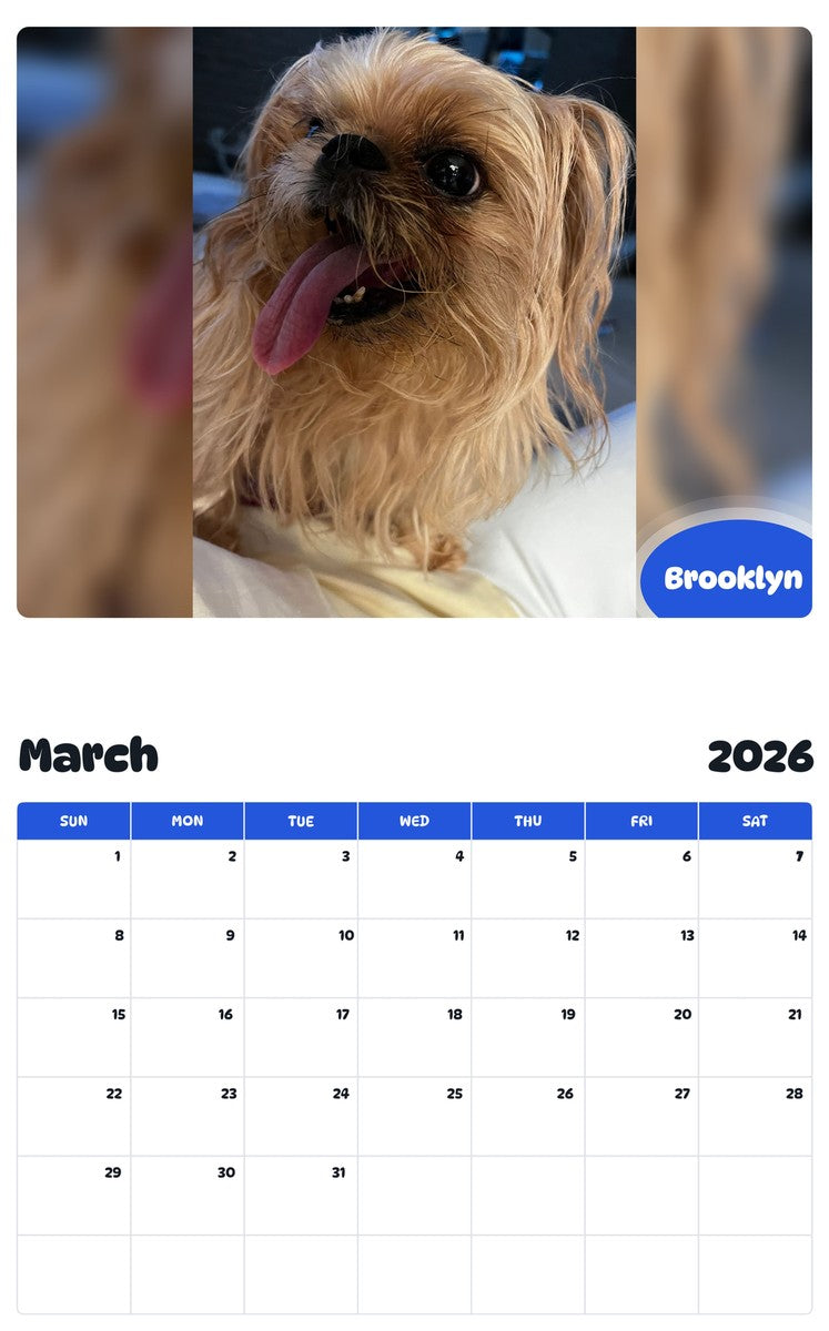 November 2025 - October 2026 Brooklyn - Pawidols Pet Calendar