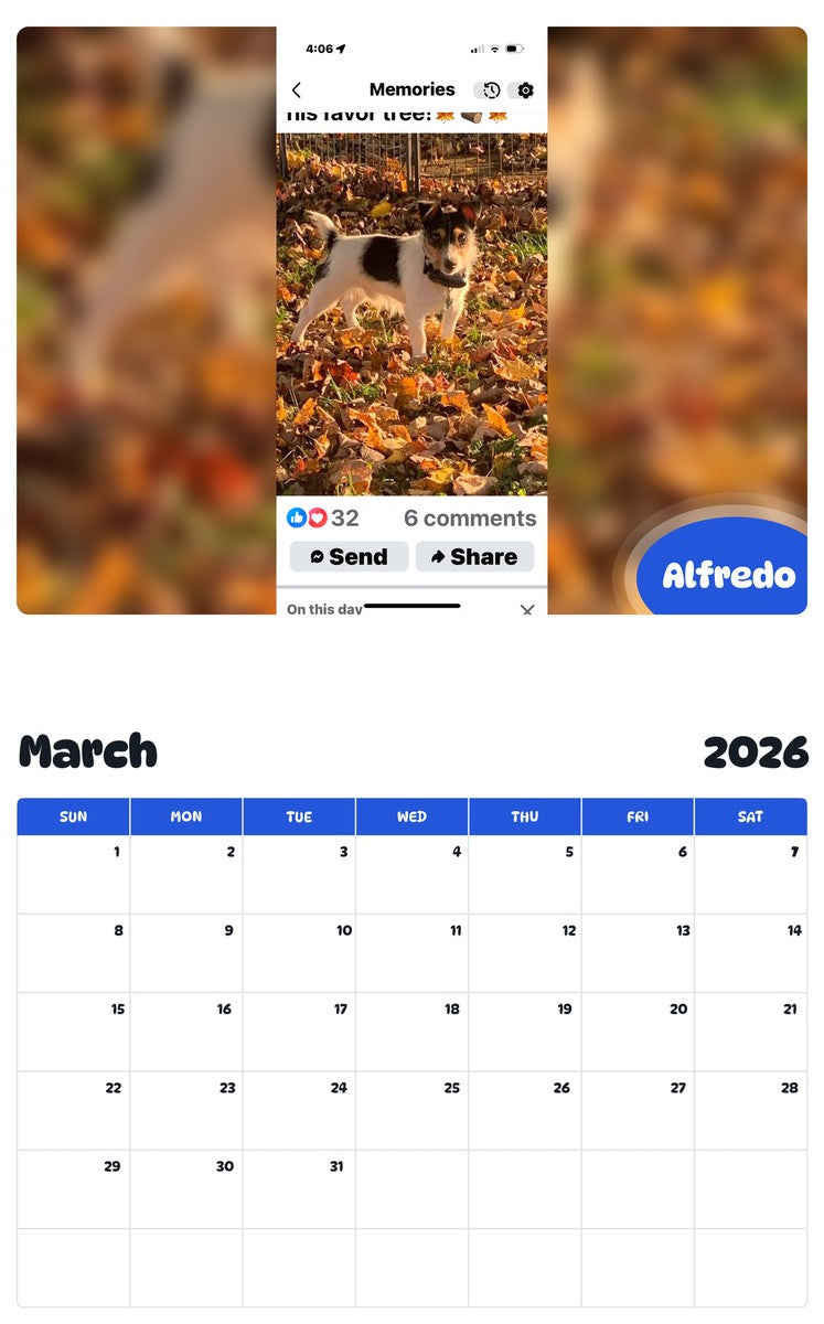 November 2025 - October 2026 Alfredo - Pawidols Pet Calendar