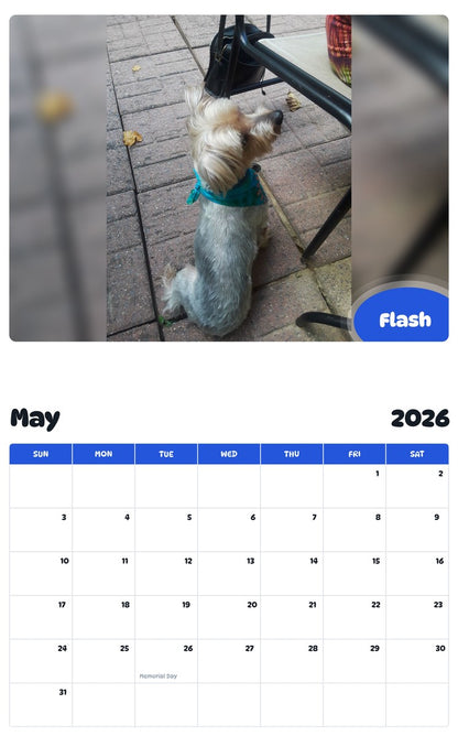2026 - 2027 Flash - Pawidols Pet Calendar