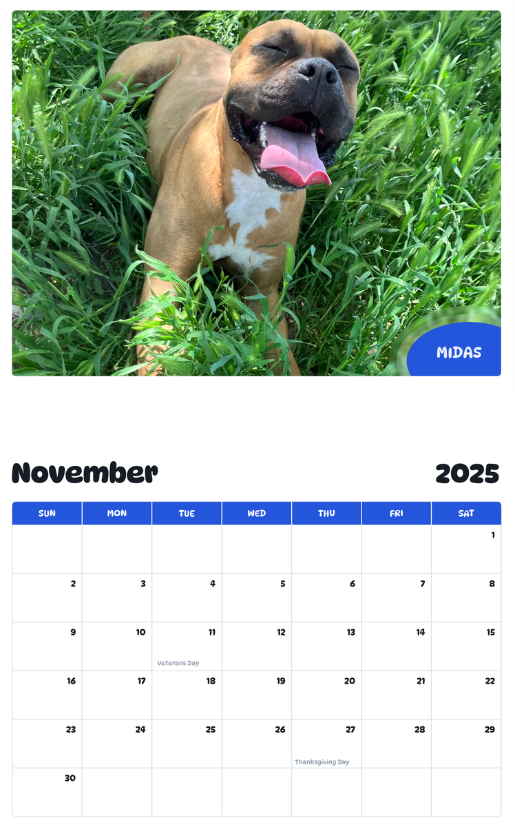 July 2025 - June 2026 Midas - Pawidols Pet Calendar