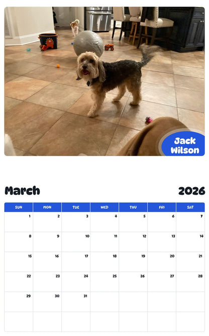 November 2025 - October 2026 Jack Wilson - Pawidols Pet Calendar