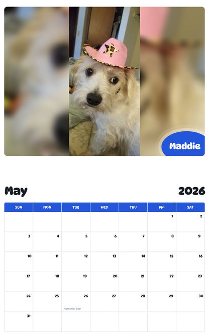 2026 - 2027 Maddie - Pawidols Pet Calendar
