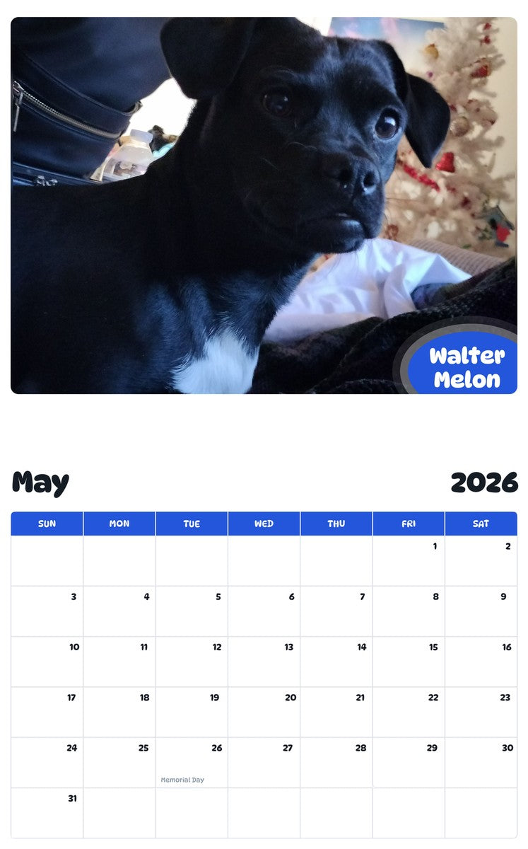 2026 - 2027 Walter Melon - Pawidols Pet Calendar