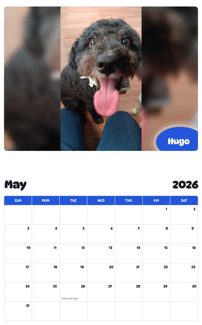 2026 - 2027 Hugo - Pawidols Pet Calendar