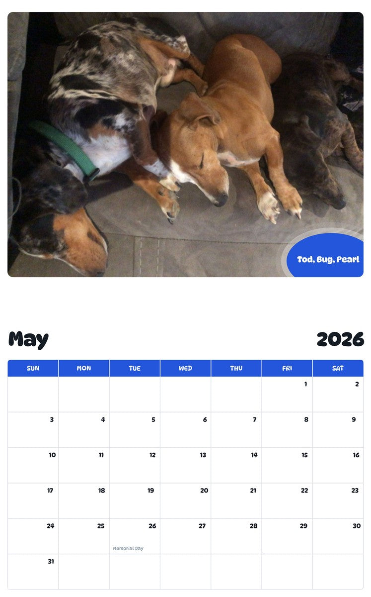 2026 - 2027 Tod, Bug, Pearl - Pawidols Pet Calendar