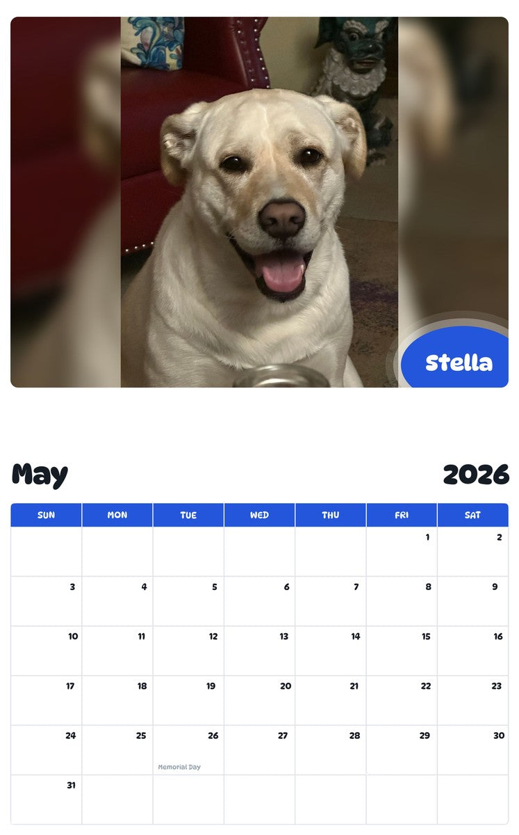 2026 - 2027 Stella - Pawidols Pet Calendar