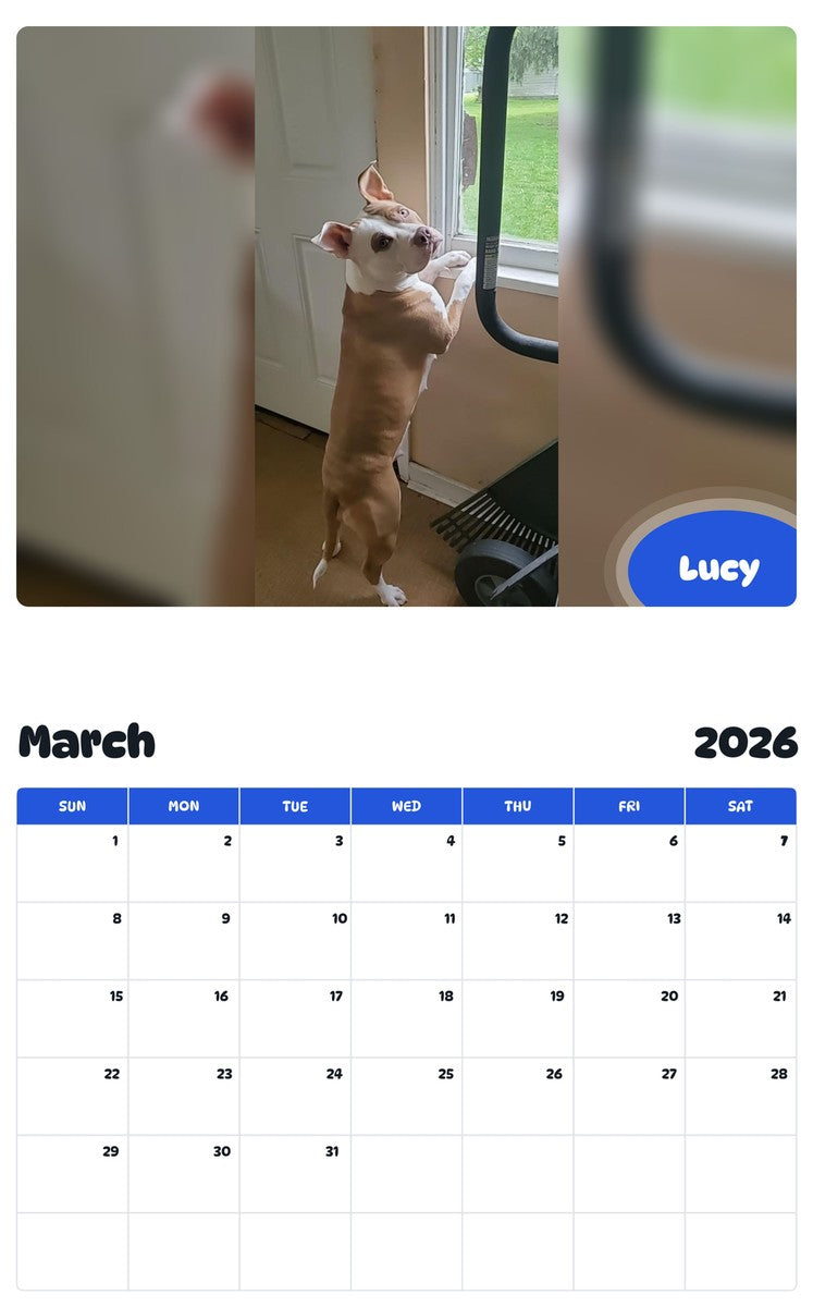 November 2025 - October 2026 Lucy - Pawidols Pet Calendar