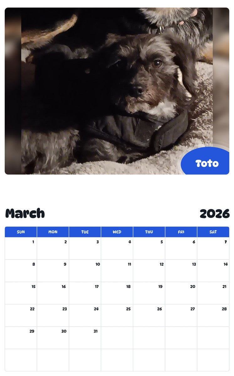 November 2025 - October 2026 Toto - Pawidols Pet Calendar