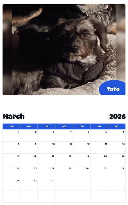 November 2025 - October 2026 Toto - Pawidols Pet Calendar