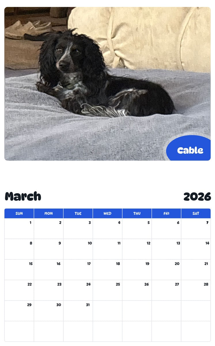 November 2025 - October 2026 Cable - Pawidols Pet Calendar