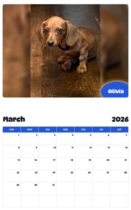 November 2025 - October 2026 Olivia - Pawidols Pet Calendar