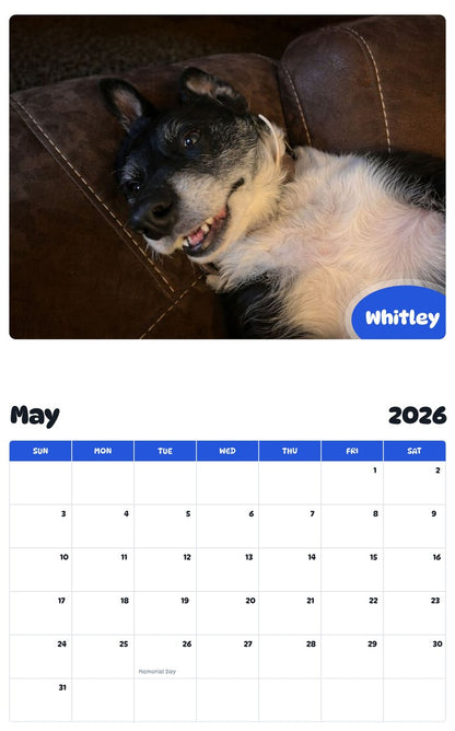 2026 - 2027 Whitley - Pawidols Pet Calendar