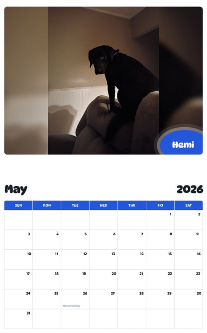 2026 - 2027 Hemi - Pawidols Pet Calendar