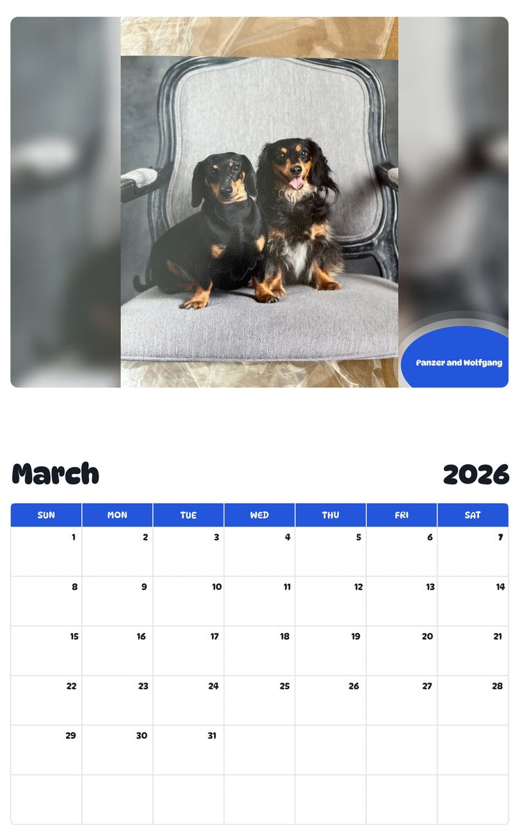 November 2025 - October 2026 Panzer and Wolfgang - Pawidols Pet Calendar