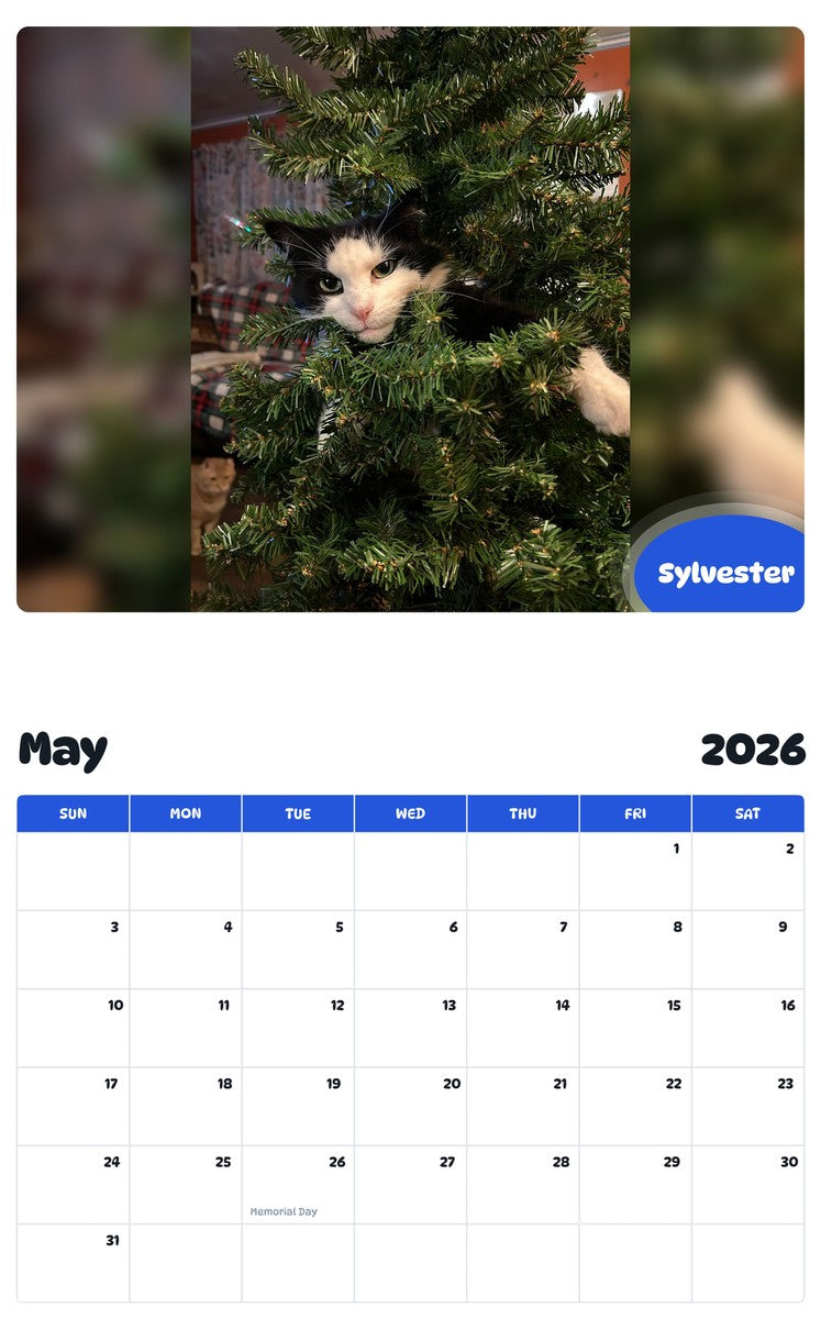 2026 - 2027 Sylvester - Pawidols Pet Calendar