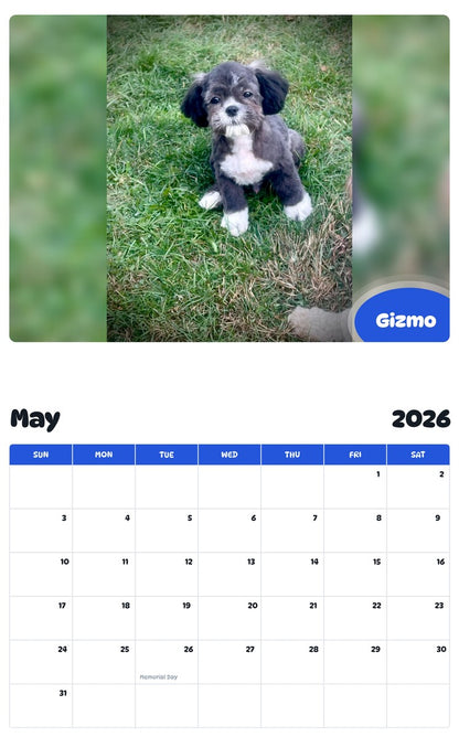 2026 - 2027 Gizmo - Pawidols Pet Calendar