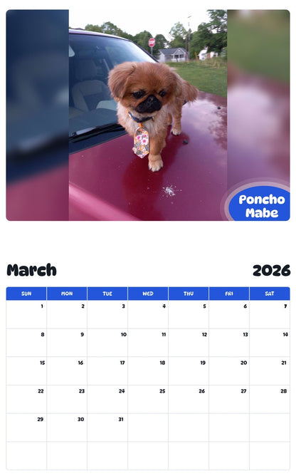 November 2025 - October 2026 Poncho Mabe - Pawidols Pet Calendar