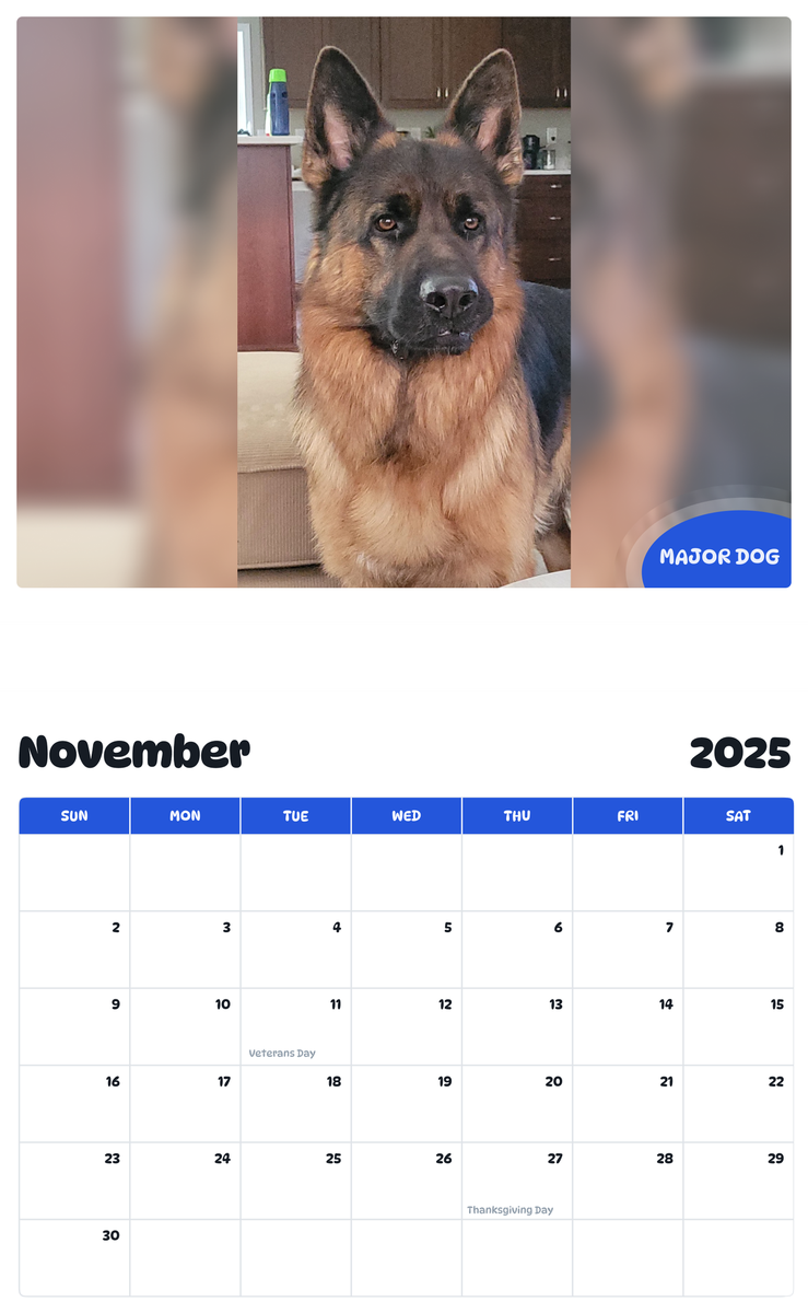 July 2025 - June 2026 MAJOR DOG - Pawidols Pet Calendar